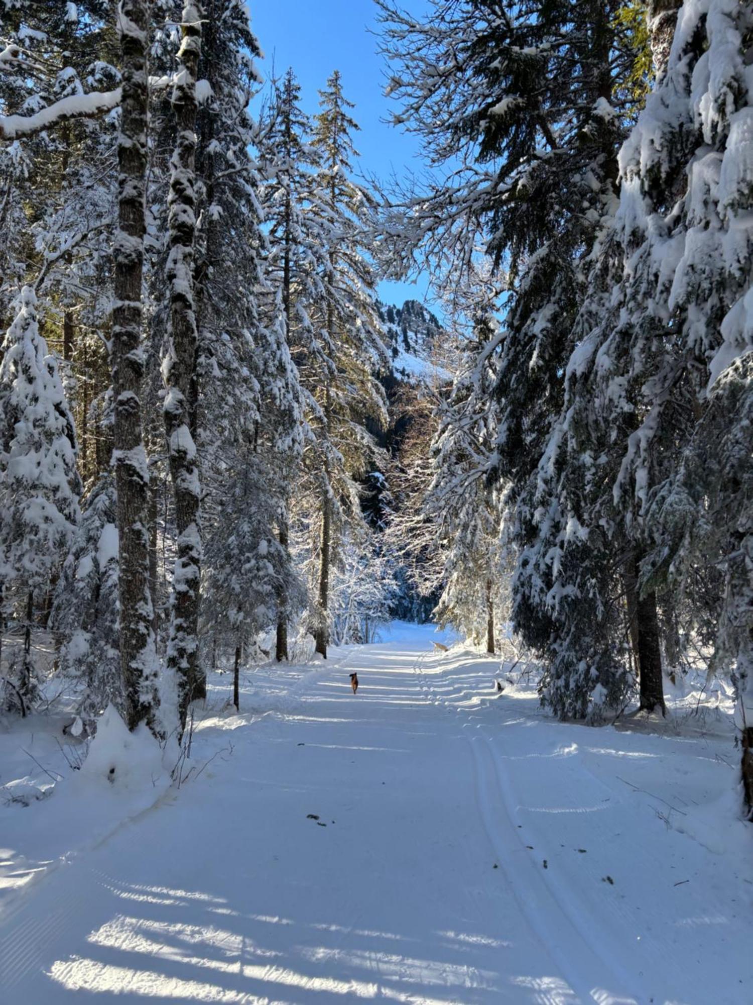 Apartmán La Pomme De Pin Le Biot Exteriér fotografie